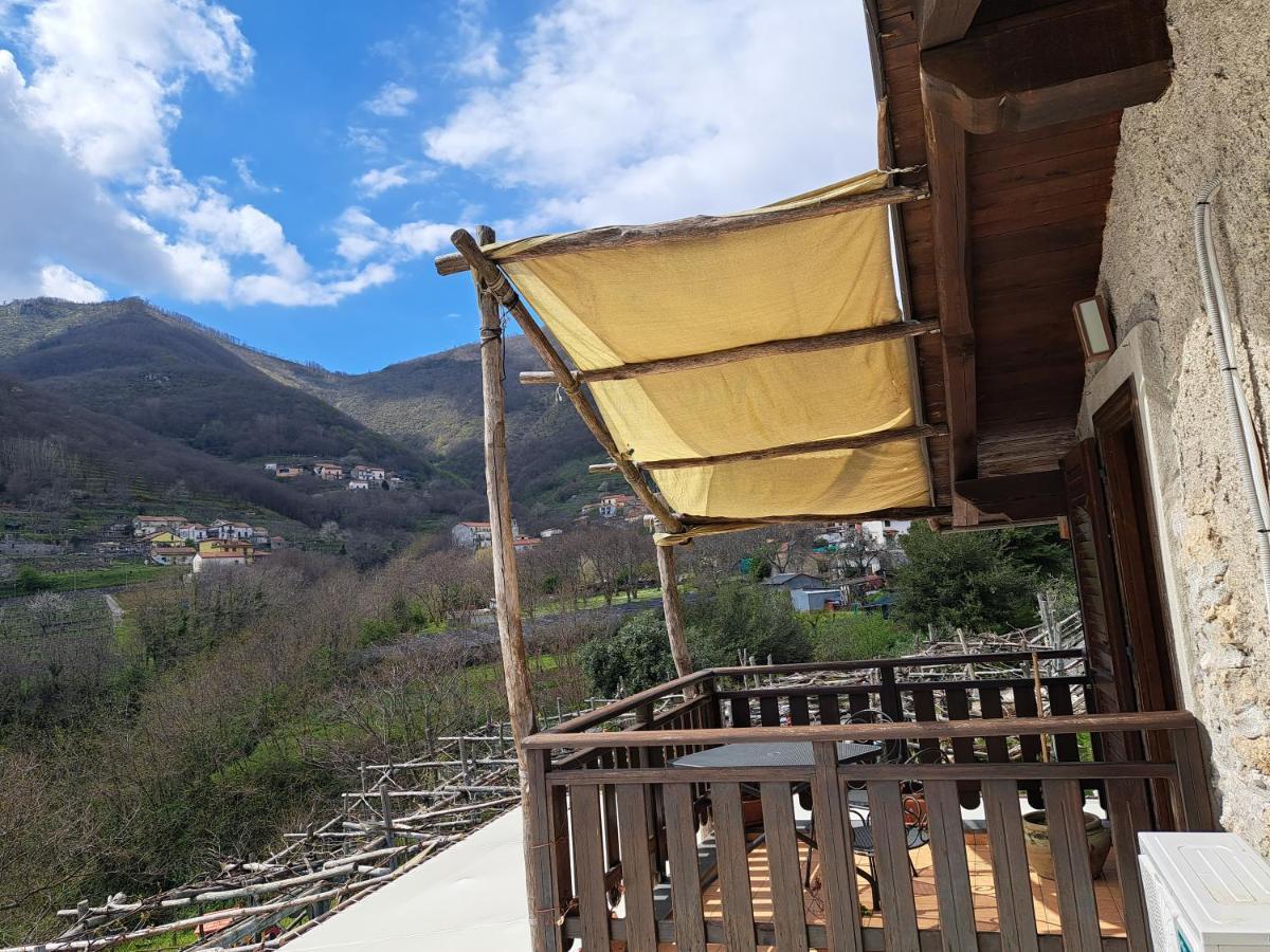Il Tintore * Tramonti