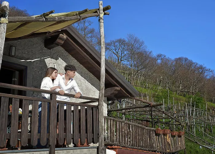 Agriturismo Il Tintore
